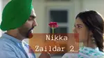 Nikka Zaildar 2 Trailer : Punjabi Movie Cast, Crew, Story, Release Date