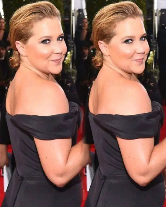 Amy Schumer Wiki, Age, Height, Weight, Husband, Sister