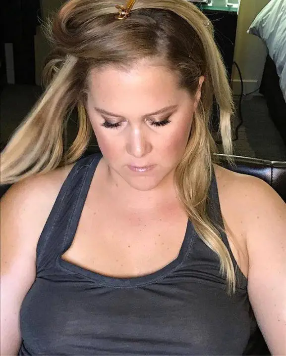 Amy Schumer Wiki, Age, Height, Weight, Husband, Sister