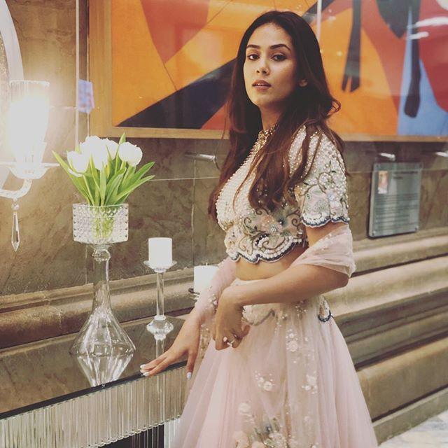 Mira Rajput Wiki Height Age Weight Husband Birthday