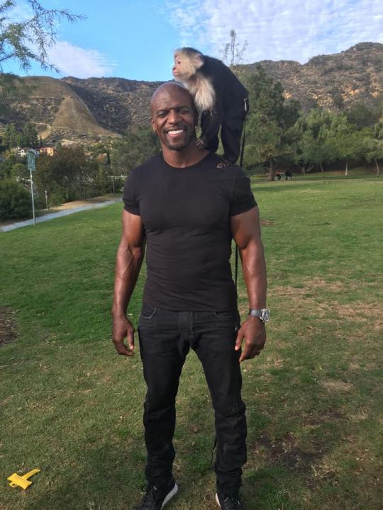 Terry Crews photos