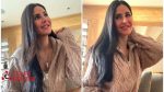 Katrina Kaif gives her and Vicky Kaushal a glimpse of her house decorated with plants, but fans can't see her mangalsutra