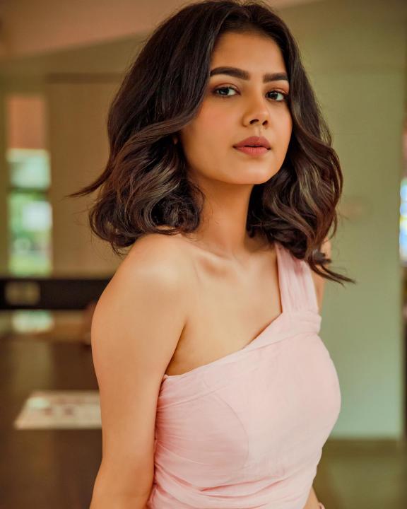 Priyal Mahajan Wiki, Biography, Age, Height, Family, Boyfriend & Net Worth 6